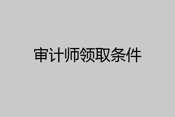 审计师领取条件