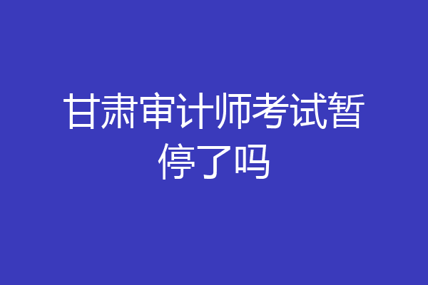 甘肃审计师考试暂停了吗