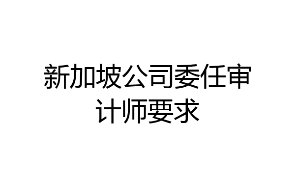 新加坡公司委任审计师要求