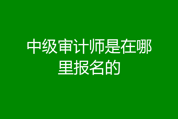 中级审计师是在哪里报名的