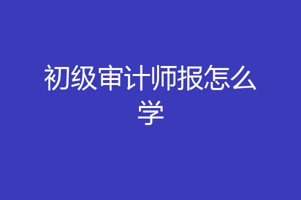 初级审计师报怎么学