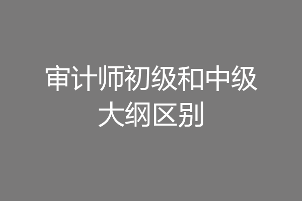 审计师初级和中级大纲区别