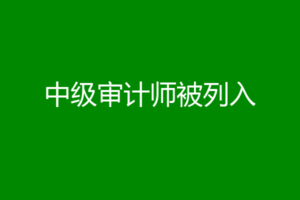 中级审计师被列入