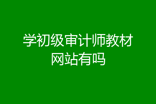 学初级审计师教材网站有吗