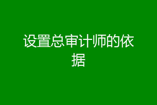 设置总审计师的依据