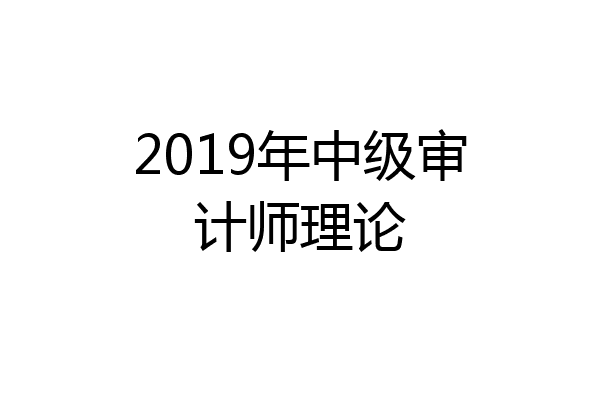 2019年中级审计师理论