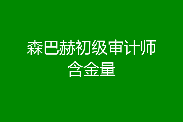 森巴赫初级审计师含金量