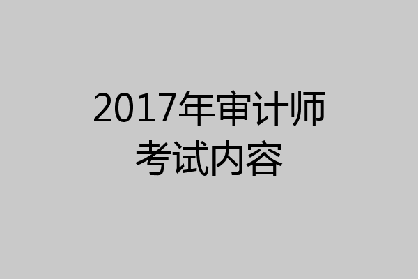 2017年审计师考试内容