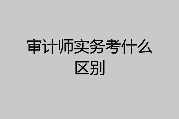 审计师实务考什么区别