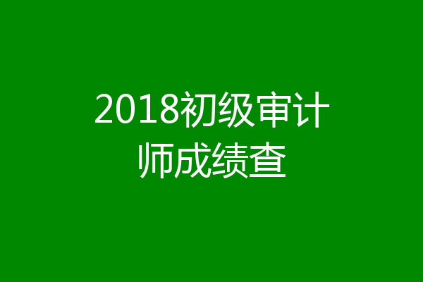 2018初级审计师成绩查