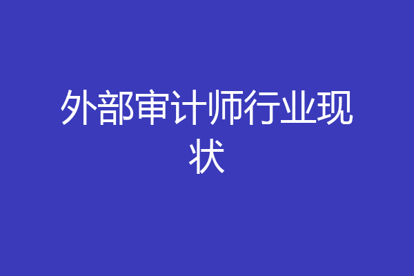 外部审计师行业现状