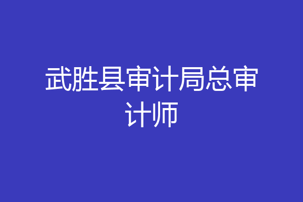 武胜县审计局总审计师