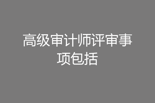 高级审计师评审事项包括