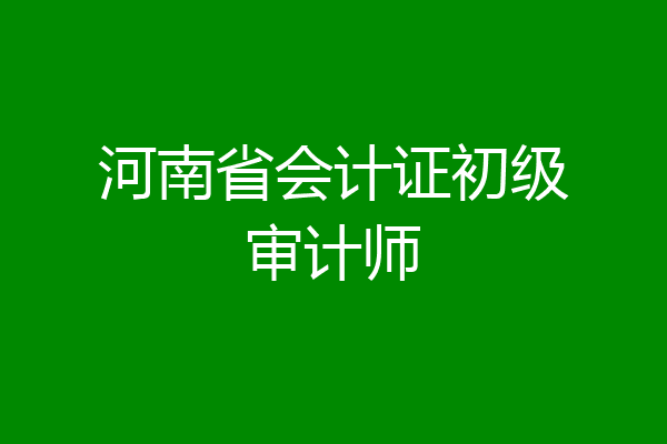 河南省会计证初级审计师