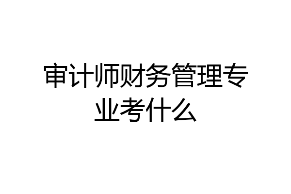 审计师财务管理专业考什么