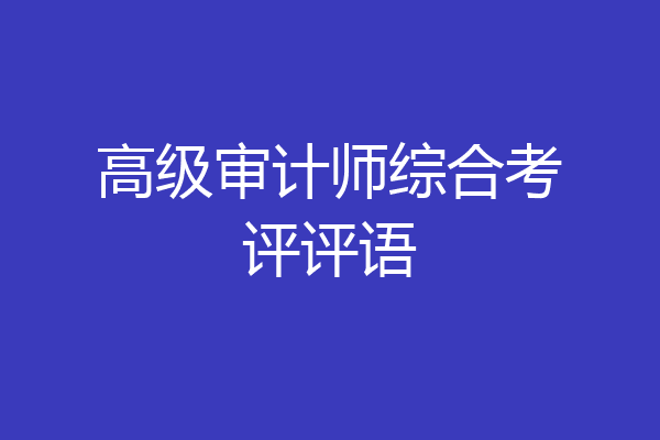 高级审计师综合考评评语
