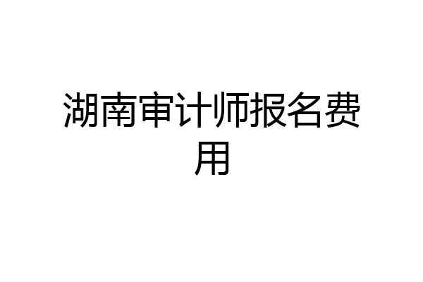 湖南审计师报名费用