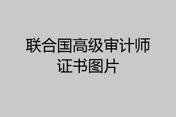 联合国高级审计师证书图片