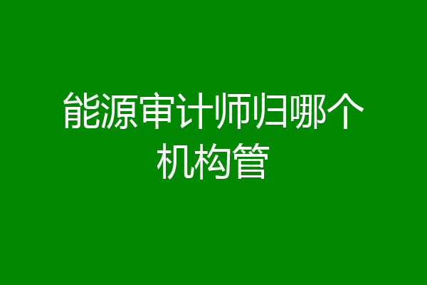 能源审计师归哪个机构管