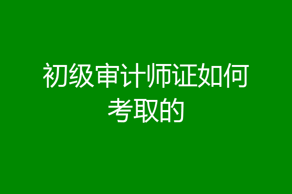 初级审计师证如何考取的