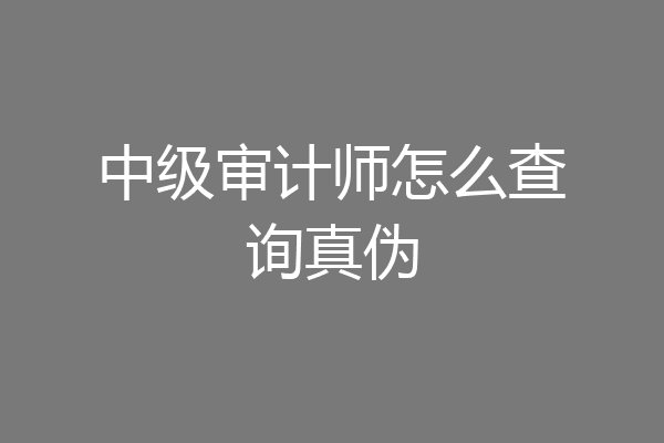 中级审计师怎么查询真伪