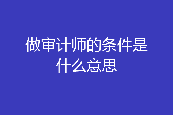 做审计师的条件是什么意思