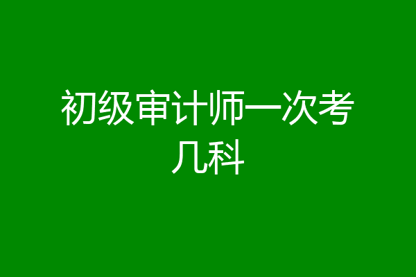 初级审计师一次考几科