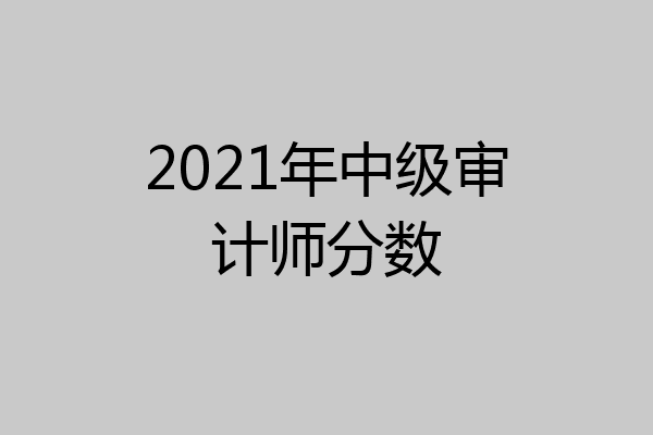 2021年中级审计师分数