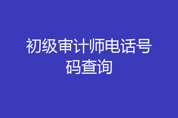 初级审计师电话号码查询