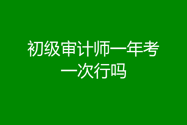 初级审计师一年考一次行吗