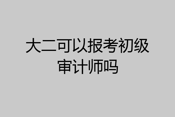 大二可以报考初级审计师吗