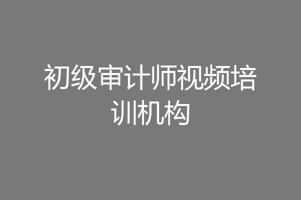 初级审计师视频培训机构