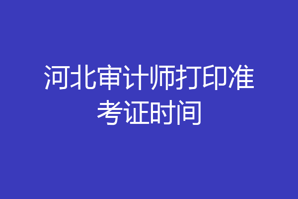 河北审计师打印准考证时间