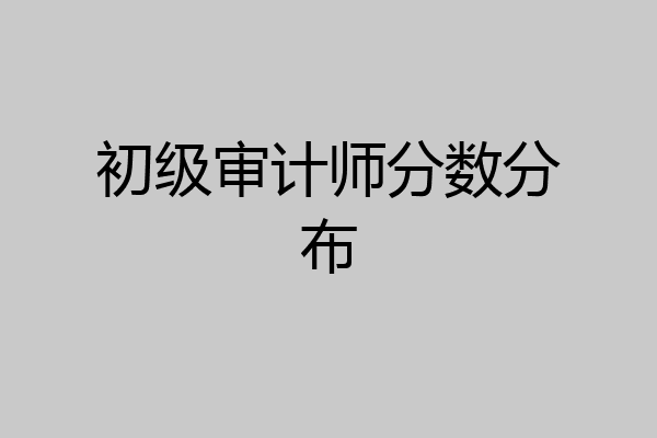 初级审计师分数分布