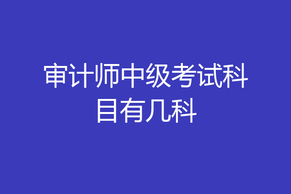 审计师中级考试科目有几科