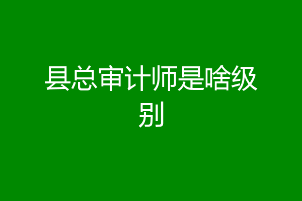 县总审计师是啥级别