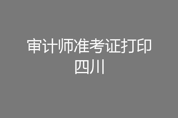 审计师准考证打印四川