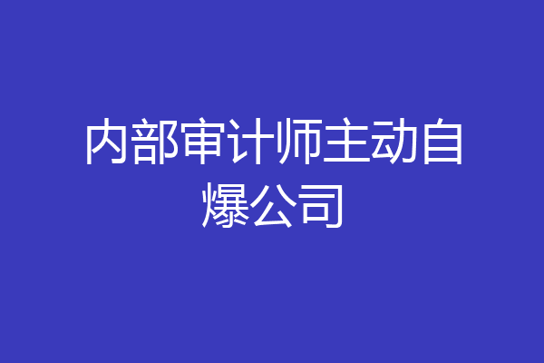 内部审计师主动自爆公司