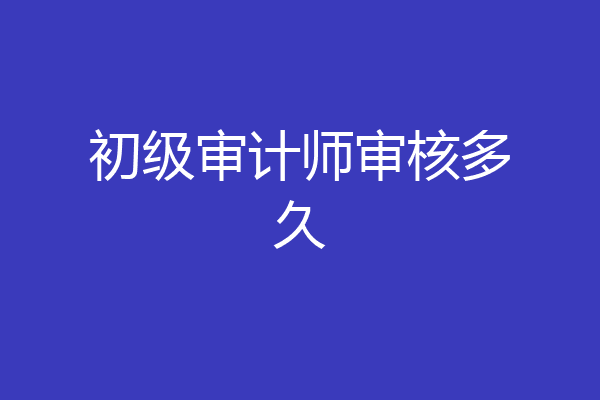 初级审计师审核多久