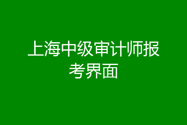 上海中级审计师报考界面