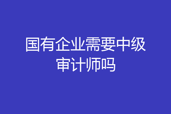 国有企业需要中级审计师吗