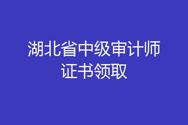 湖北省中级审计师证书领取