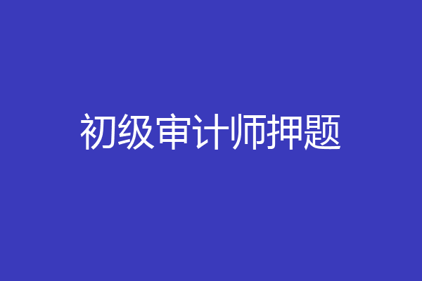 初级审计师押题