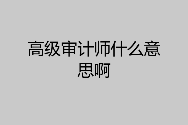 高级审计师什么意思啊
