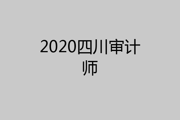 2020四川审计师