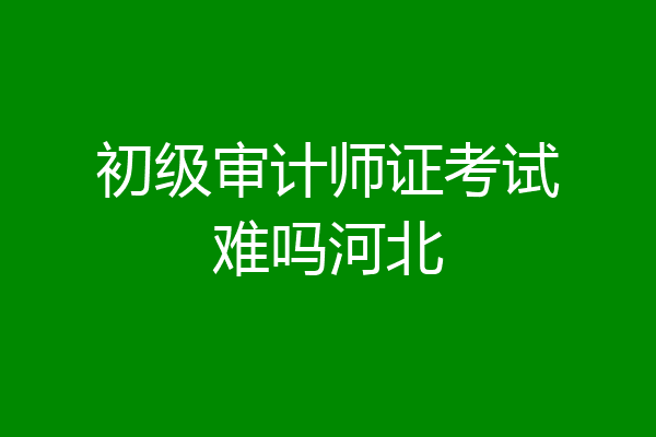 初级审计师证考试难吗河北