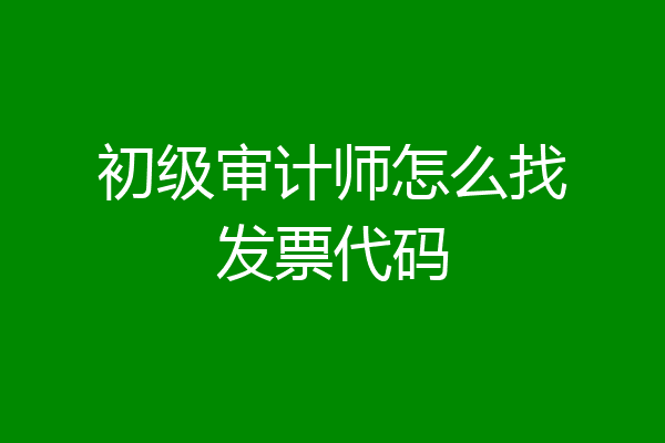 初级审计师怎么找发票代码