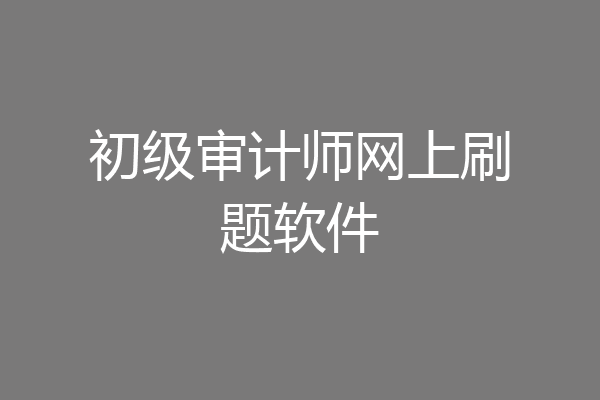 初级审计师网上刷题软件