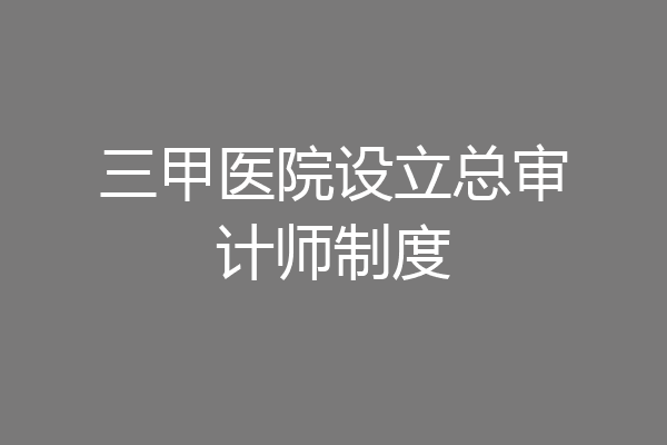 三甲医院设立总审计师制度