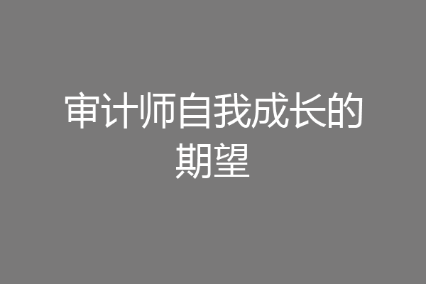 审计师自我成长的期望